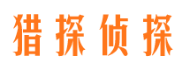 灵宝市场调查